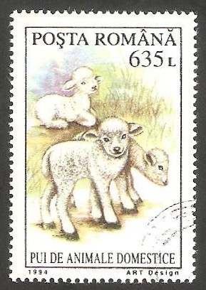 4222 - Corderos, animal doméstico 