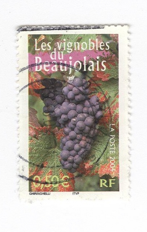 Los viñedos de Beaujolais