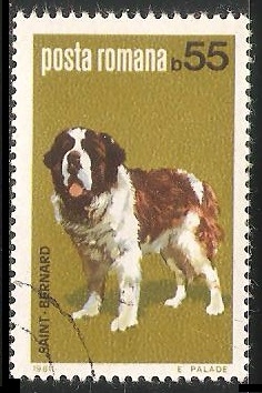 Saint-Bernard