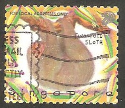 864 - Oso perezoso