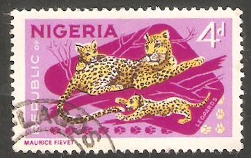 182 - Leopardos