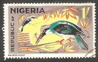 185 - Pájaro martín pescador