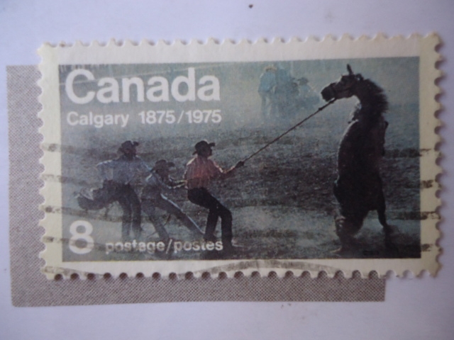 Calgary 1875-1975.
