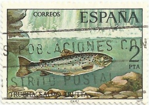 FAUNA HISPÁNICA. TRUCHA COMÚN. Salmo trutta. EDIFIL 2404