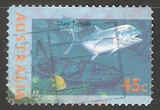 Giant Trevally -Jurel gigante