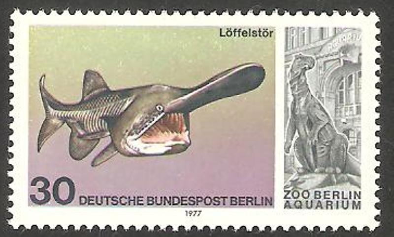 Berlin - 515 - Aquarium del Zoo de Berlin
