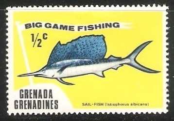 Big game fishing