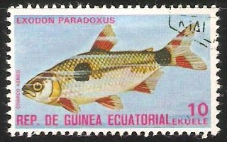 Exodon Paradoxus