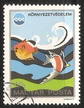 krnyezetvdelem