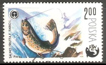 Salmo trutta F. Fario L