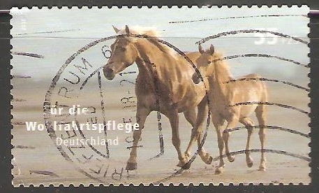 Caballos