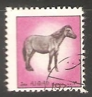 Caballo