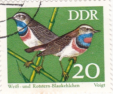 1534 - Pájaros