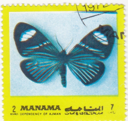 mariposa- 