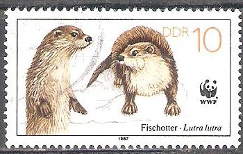 Animales en peligro de extinción, nutrias (DDR).