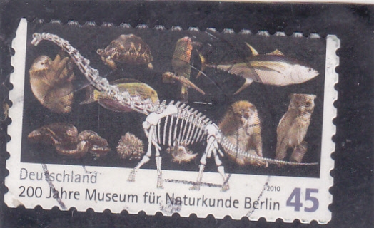 200 aniv.museo de la naturaleza de Berlín