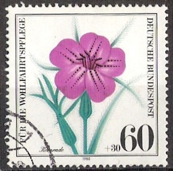 907 - flor agrostemma githago