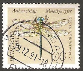 1380 - Libélula aeshna viridis