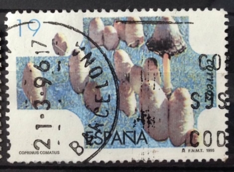 Edifil 3341