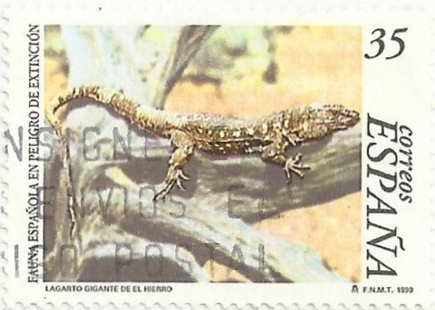 FAUNA ESPAÑOLA EN PELIGRO DE EXTINCIÓN. LAGARTO GIGANTE, Gallotia simonyi. EDIFIL 3614
