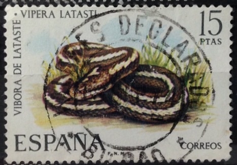 Edifil 2196