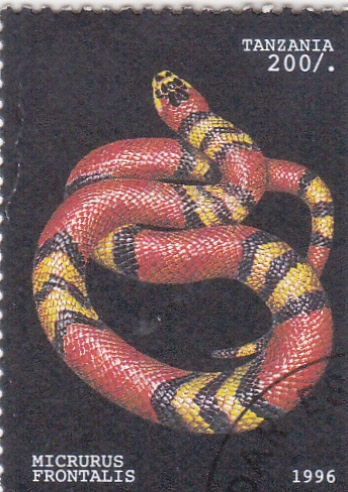 serpiente