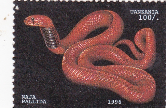 serpiente