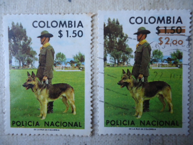 Cuerpo Policial de Colombia