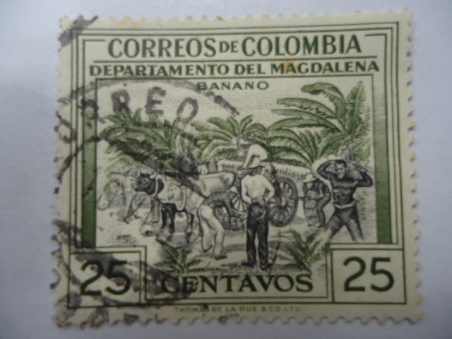 Departamento del Magdalena - Cultivo de Banano