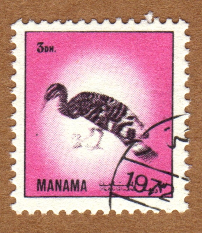 COL-PÁJARO
