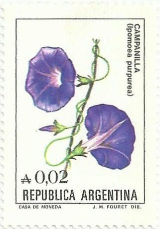 FLORES.TIPOS DE 1982-85 EN NUEVA MONEDA. CAMPANILLA MORADA. Ipomoea purpúrea. YVERT AR 1472