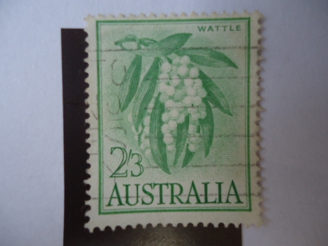 Wattle.-1959.