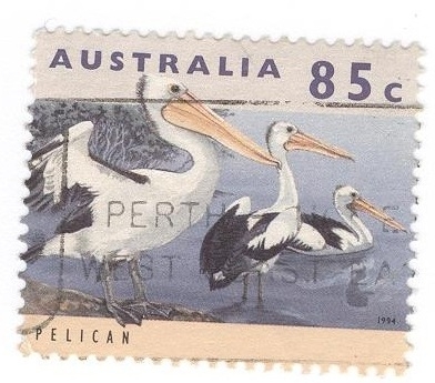 Pelicanos