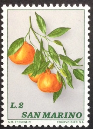 Mandarina