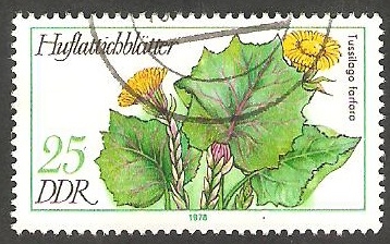 1960 - Flor