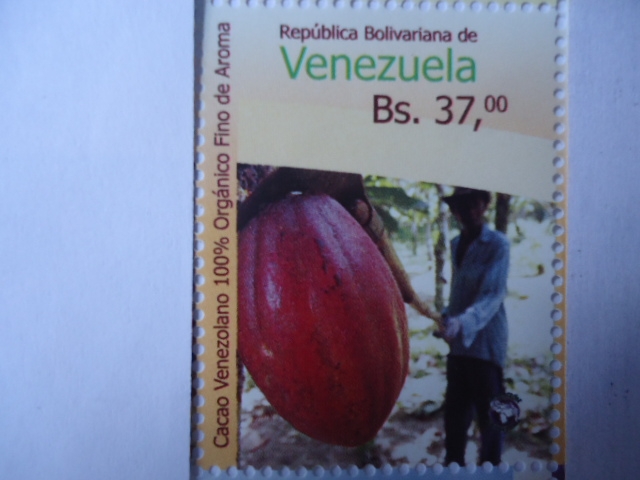 República Bolívariana de Venezuela - Cacao Venezolano 100% Orgánico Fino Aroma - 2015.