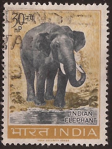 Elefante Asiático  1963  30 naye paisa