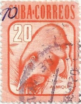 FAUNA. ALMIQUÍ DE CUBA. Solenodon cubanus. YVERT CU 2319