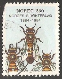 Abeja