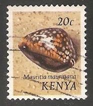 Mauritia mauritiana,