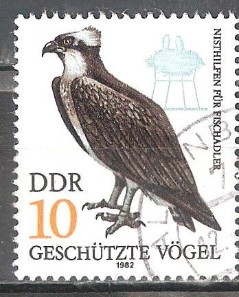 Aves Protegidas- Águila pescadora DDR.