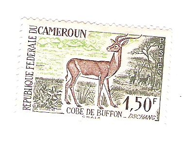 1962 Postage Stamps - Animals