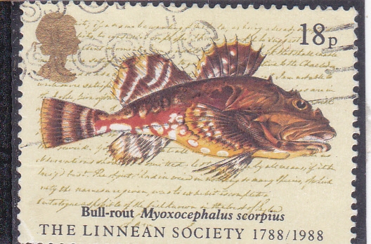 200 aniversario de Linnean Society