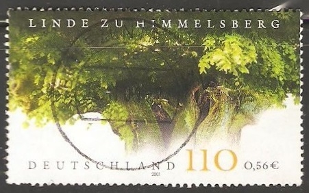 Linde zu himmelsberg