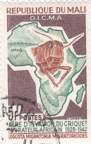 AREA MIGRATORIA DE LA LANGOSTA