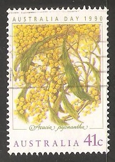 Acacia pycnantha - Dia de Australia
