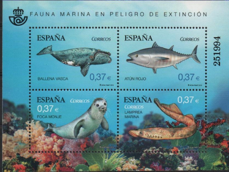 FAUNA  MARINA  EN  PELIGRO  DE  EXTINCIÒN