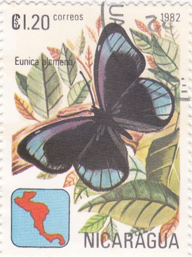 mariposa