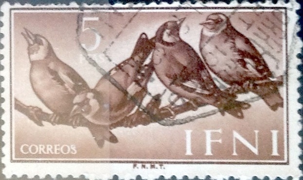 5 ptas. 1960