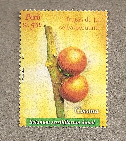 Frutas de la Selva, Cocona